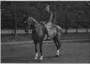 5th Cameron officer exercising a thoroughbred horse, Germany 1945