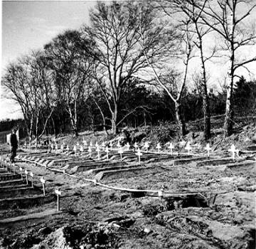 Temporary British cemetery, Grave, holland 1944